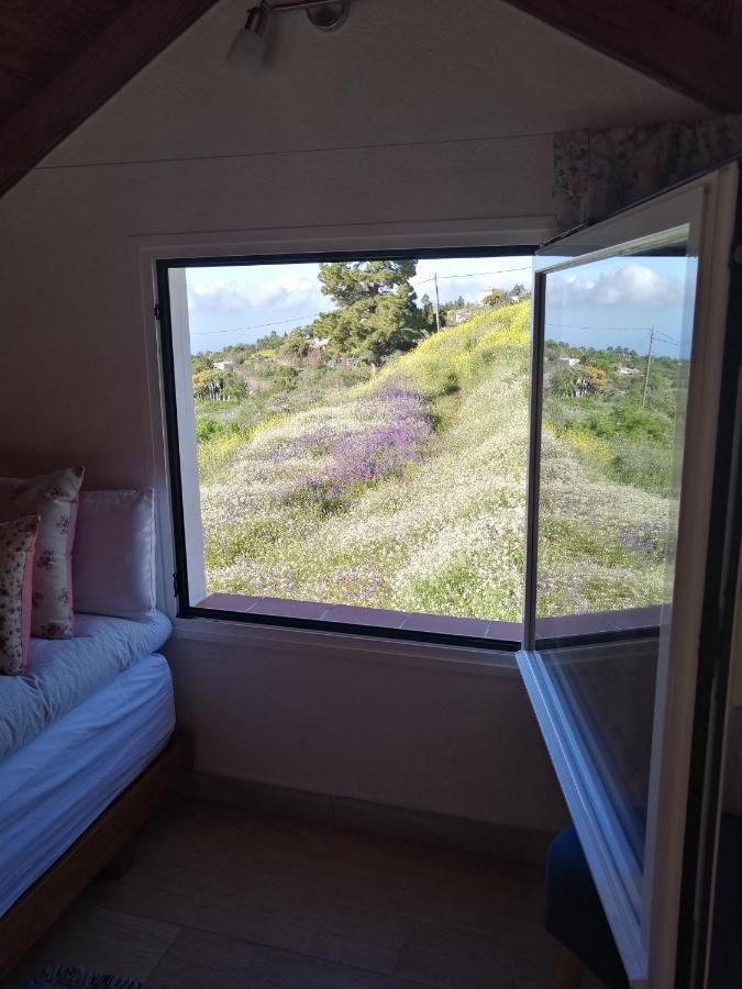 Alma Villa Garafía Dış mekan fotoğraf
