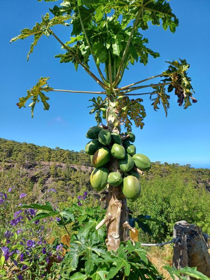 Alma Villa Garafía Dış mekan fotoğraf